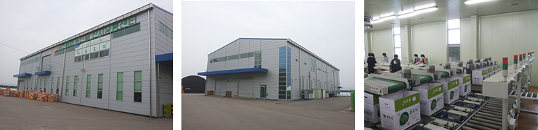 농산물산지유통센터(APC)