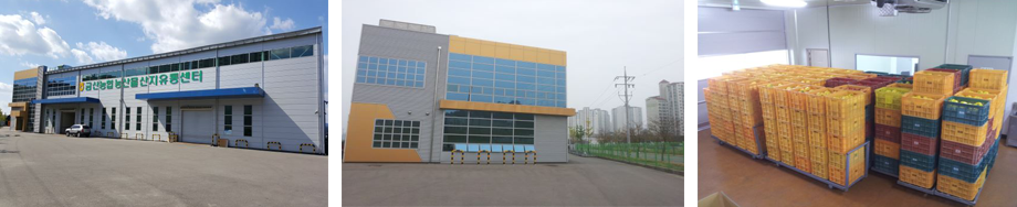 파프리카 선별장